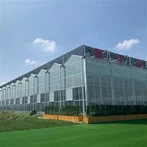 Rumah Hijau Kaca Kecil